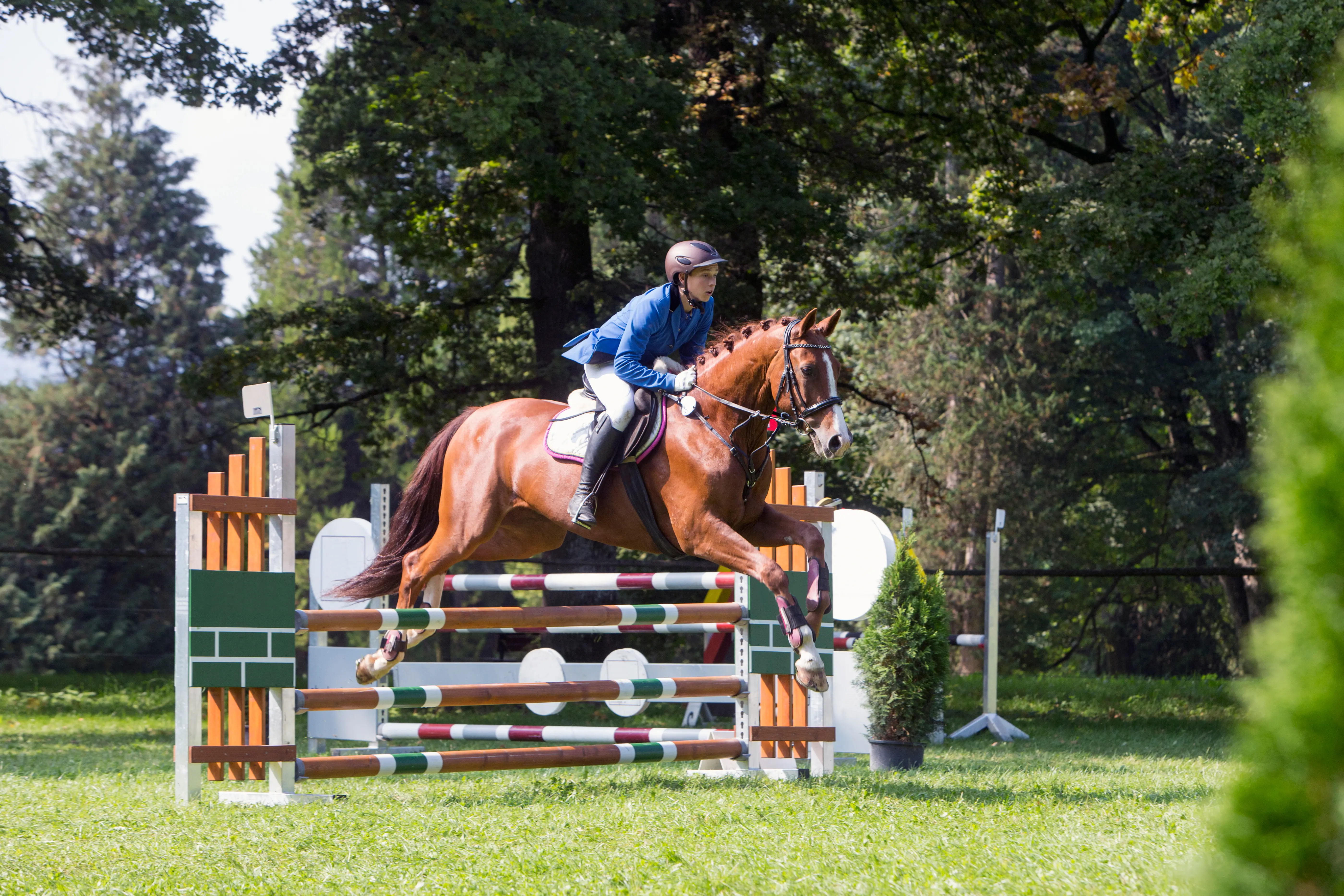 Rider with her horse, practicing show jumping in Westchester